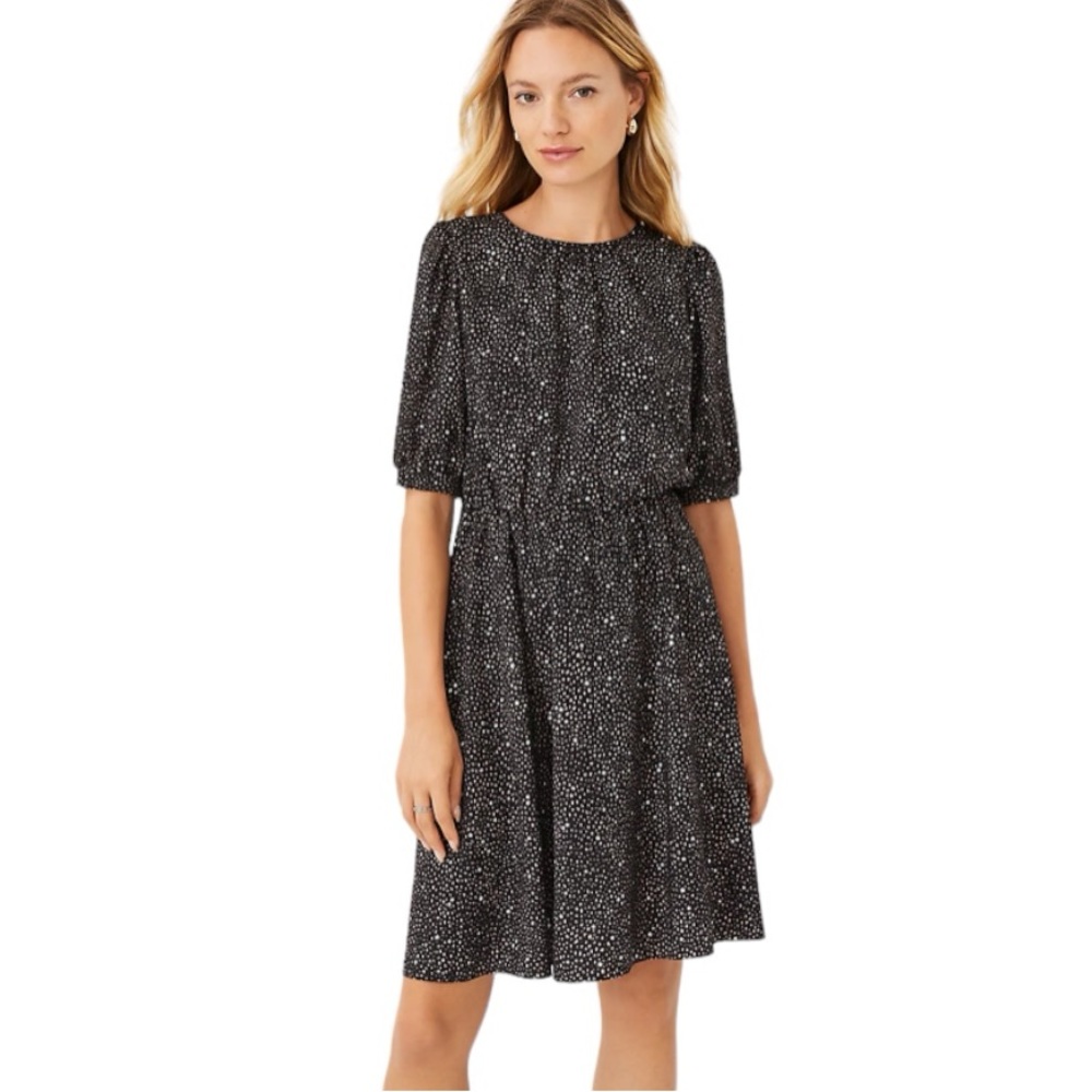 Ann Taylor Starry Spotted Flare Dress (Black, Size 6)